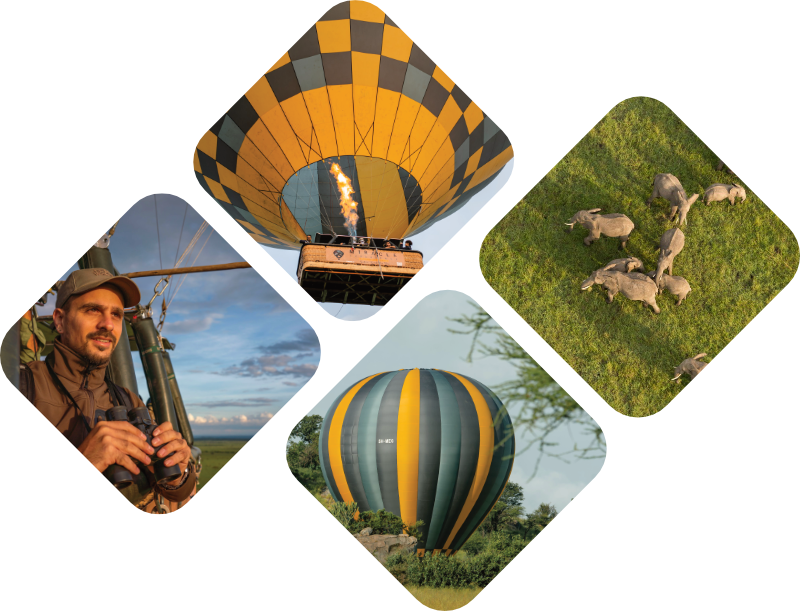 Aardwolf Africa Adventure Safaris Ltd