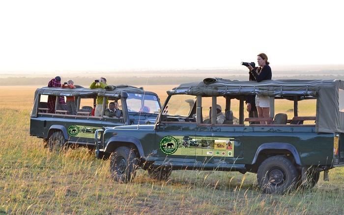 1000 Shades of Green Tours and Safari Company Limited