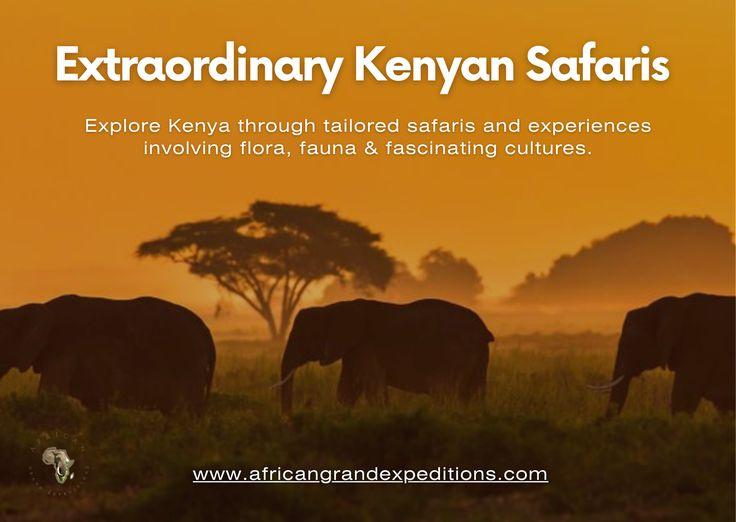 African Grand Expeditions Ltd