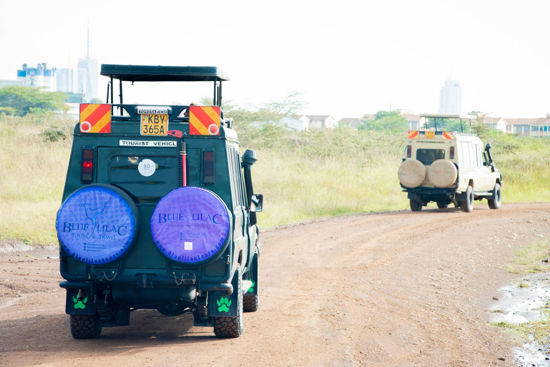 Blue Lilac Tours and Travel Ltd