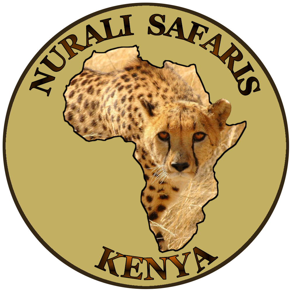 Nurali Safaris Ltd