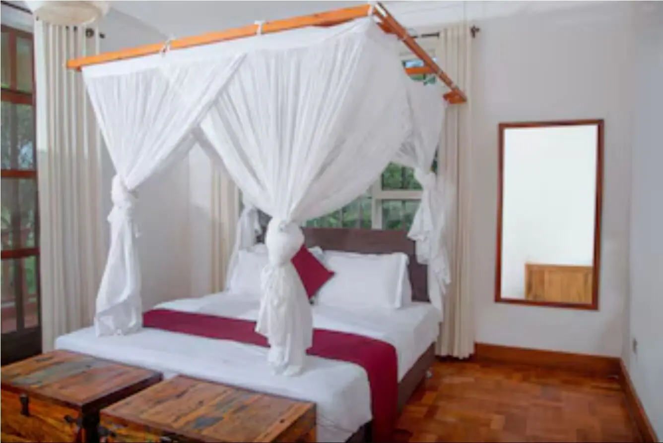 Double View Mountain Lodge - Buffalo Room