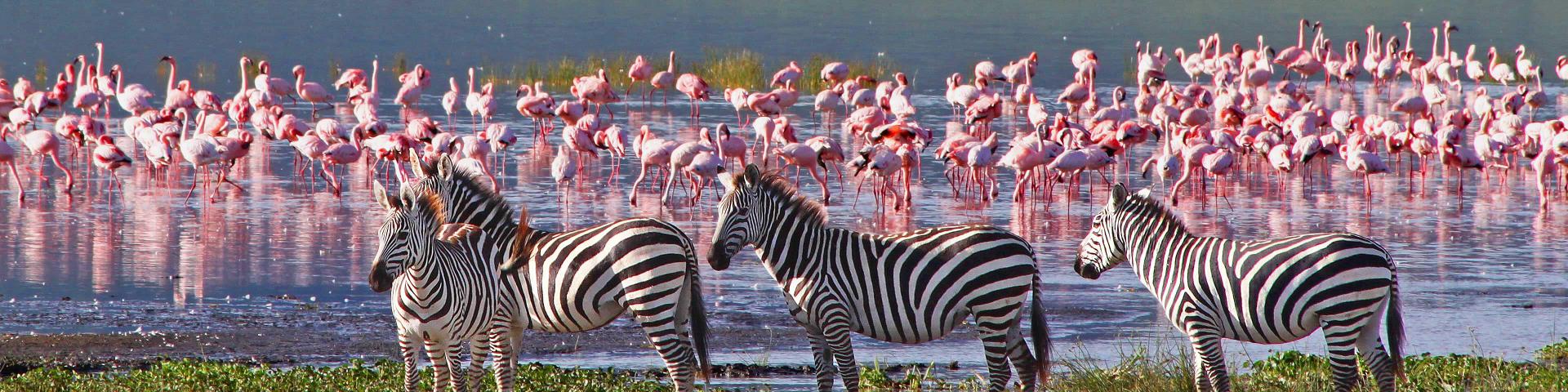 Peak East Africa Ltd